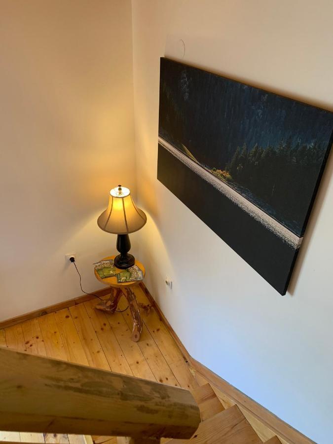 Mountain Vista Chalet 자블야크 외부 사진