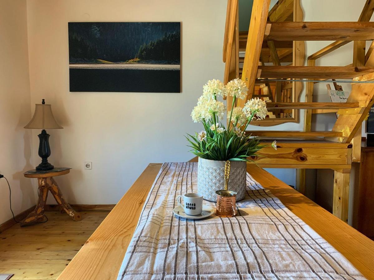 Mountain Vista Chalet 자블야크 외부 사진